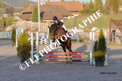 Tag des Pferdes-FM1-0003