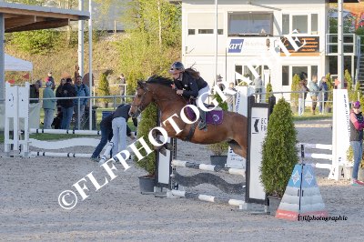 Tag des Pferdes-FM1-0010