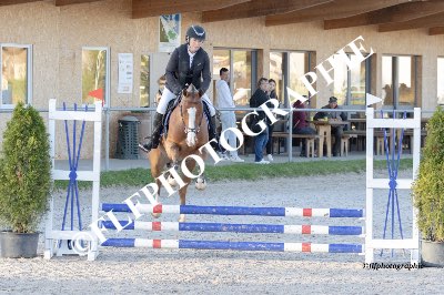 Tag des Pferdes-FM1-0012