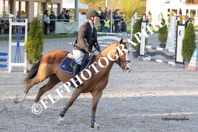 Tag des Pferdes-FM1-0013