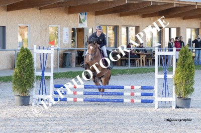 Tag des Pferdes-FM1-0014