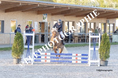 Tag des Pferdes-FM1-0020