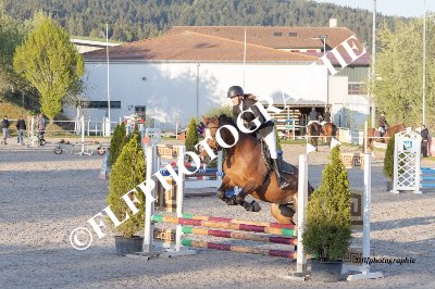 Tag des Pferdes-FM1-0021