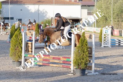 Tag des Pferdes-FM1-0023