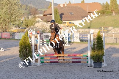 Tag des Pferdes-FM1-0030