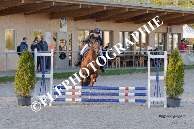Tag des Pferdes-FM1-0031