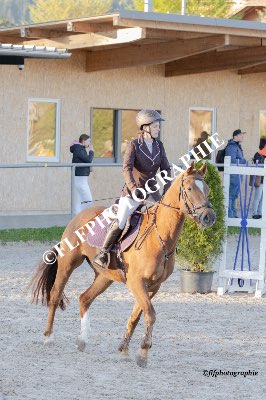 Tag des Pferdes-FM1-0037