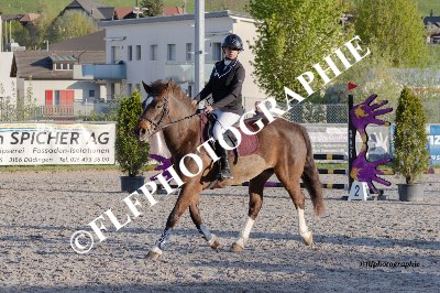 Tag des Pferdes-FM2-0007