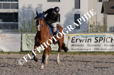 Tag des Pferdes-FM2-0019