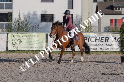 Tag des Pferdes-FM2-0021