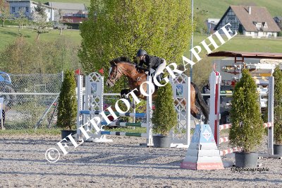 Tag des Pferdes-FM2-0039