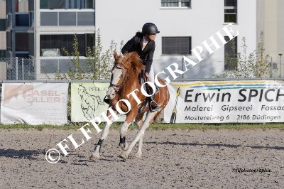 Tag des Pferdes-FM2-0051