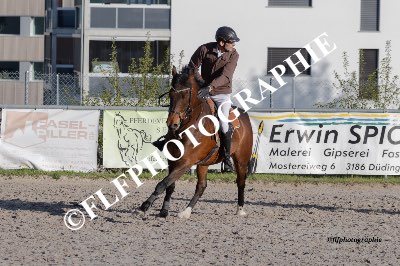 Tag des Pferdes-FM2-0056