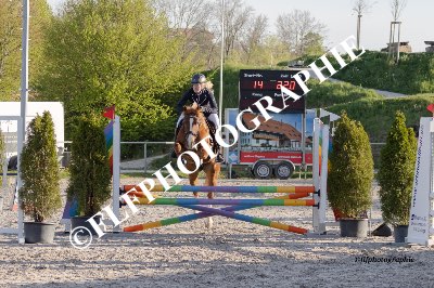 Tag des Pferdes-FM2-0057