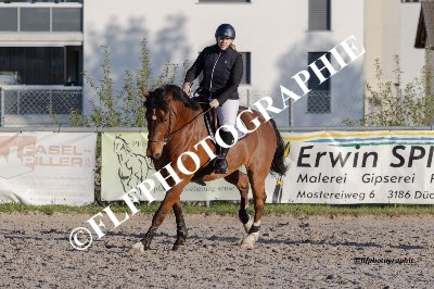 Tag des Pferdes-FM2-0082