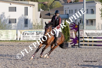 Tag des Pferdes-FM2-0092