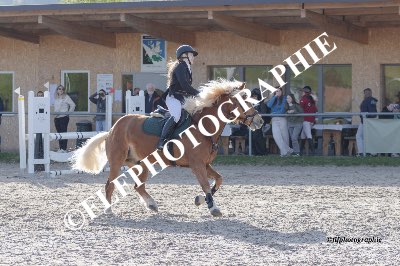 Tag des Pferdes-FM3-0011
