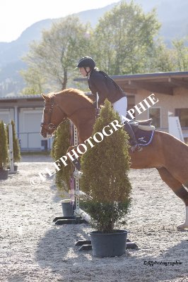 Tag des Pferdes-FM3-0018