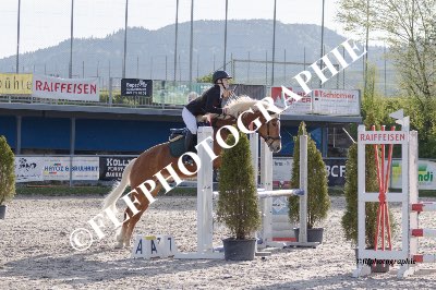 Tag des Pferdes-FM3-0023