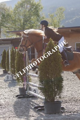 Tag des Pferdes-FM3-0027