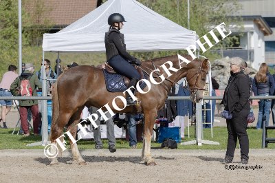 Tag des Pferdes-Ambiance-0004