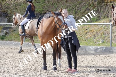 Tag des Pferdes-Ambiance-0005